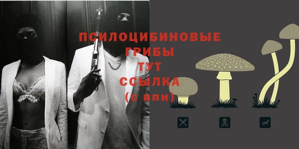 метадон Богородицк